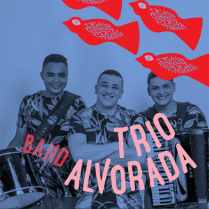 Trio Alvorada (artists)